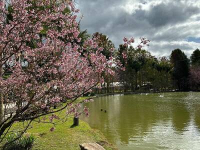 Villa Uliana - Pedra Azul ES